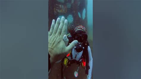 nude scuba diving|She said she will DIVE NAKED for her 100 Dive .